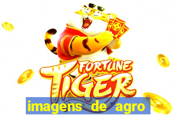 imagens de agro racoes guarani